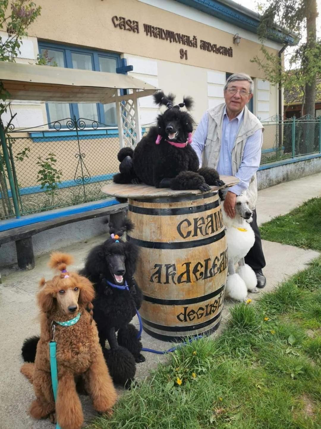 Casa Traditionala Ardeleana Madaras  외부 사진